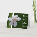Pesquisar por gardenia cartoes Flores