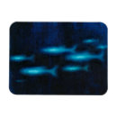 Pesquisar por royal imas Azul