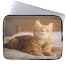 Pesquisar por imagens dos gatos capas Animais de estimação