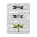 Pesquisar por três animais imas Libélulas