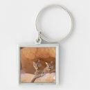 Pesquisar por pumas chaveiros Natureza