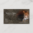 Pesquisar por bengala cartao de visita Gato