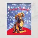 Pesquisar por natal dachshund cartoes postais Animal