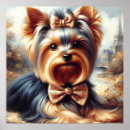 Pesquisar por do yorkshire terrier pôsteres pósteres Cachorrinho
