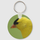 Pesquisar por cotovelos chaveiros Pássaro