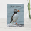 Pesquisar por puffin cartoes Animal