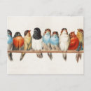 Pesquisar por pássaros vintage cartoes postais Pintura