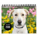 Pesquisar por imagens animais calendarios Crie o seu