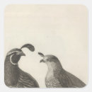 Pesquisar por perdiz adesivos Pássaro