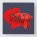 Pesquisar por peixes artes pósteres Betta