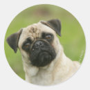 Pesquisar por mops adesivos Espadim