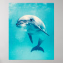 Pesquisar por poster bonito do golfinho pôsteres pósteres Oceano