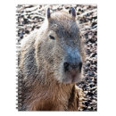 Pesquisar por capybara cadernos de notas Fofofo