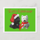 Pesquisar por westie christmas cartoes Cães