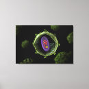 Pesquisar por doença impressão de canvas Detalhe