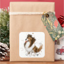 Pesquisar por sheltie adesivos Canino