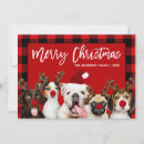 Pesquisar por cachorrinhos natal cartoes Cão