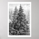 Pesquisar por paisagem natural pôsteres pósteres Ilustração