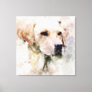 Pesquisar por de labrador retriever pôsteres pósteres Cabeça