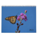 Pesquisar por borboleta calendarios Rabo de banho