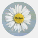 Pesquisar por daisy adesivos Aquarela