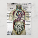 Pesquisar por anatomia cartoes postais Vintage