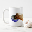 Pesquisar por hamster branco casa presentes Animal