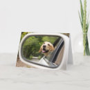 Pesquisar por golden retriever puppy cartoes Animal