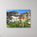 Pesquisar por wildflower impressão de canvas Flores