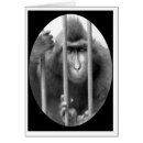 Pesquisar por primata Macaco