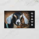 Pesquisar por leite das cabras cartao de visita Leite da cabra