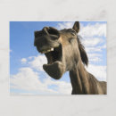 Pesquisar por piada cavalo cartoes convites Animal
