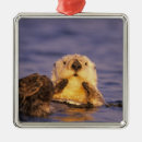 Pesquisar por lontra ornamentos Fofo