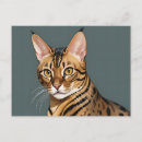 Pesquisar por gato de bengal Animal de estimação
