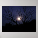 Pesquisar por fulgor da lua Luz de lua