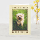 Pesquisar por pergaminho cartoes postais Engraçado