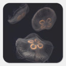 Pesquisar por medusa adesivos Vida marinha