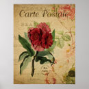 Pesquisar por botanical pósteres Vintage