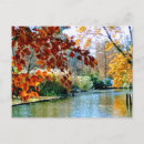 Pesquisar por carolina cartoes postais Colorido