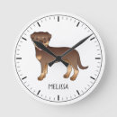 Pesquisar por rottweiler relogios de parede Podre