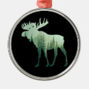 Pesquisar por da natureza ornamentos Ambiente