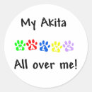 Pesquisar por material de akita adesivos Cão