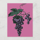 Pesquisar por da arte do vinho cartoes postais Fruta