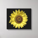Pesquisar por amarelo e preto impressão de canvas Brilhante