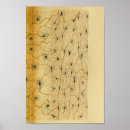 Pesquisar por nervo pósteres Neurônios