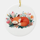 Pesquisar por adormecido ornamentos Aconchegante