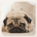Pesquisar por pugs porta copos Filhote de cachorro