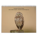 Pesquisar por bois calendarios Animais
