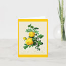 Pesquisar por redoute cartoes Botanical