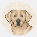 Pesquisar por cabeça de cão adesivos Fofofo